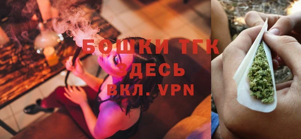 ешки Алексин