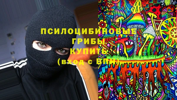 стафф Алзамай