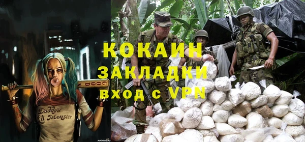 ешки Алексин