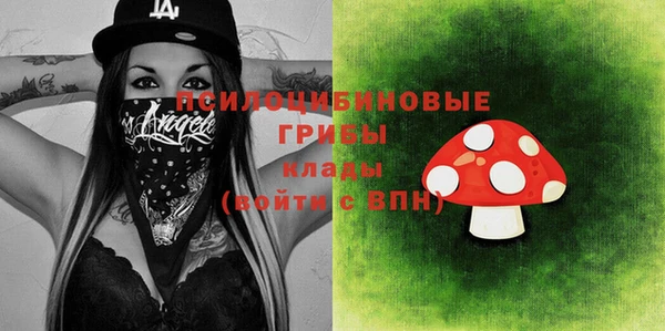 стафф Алзамай